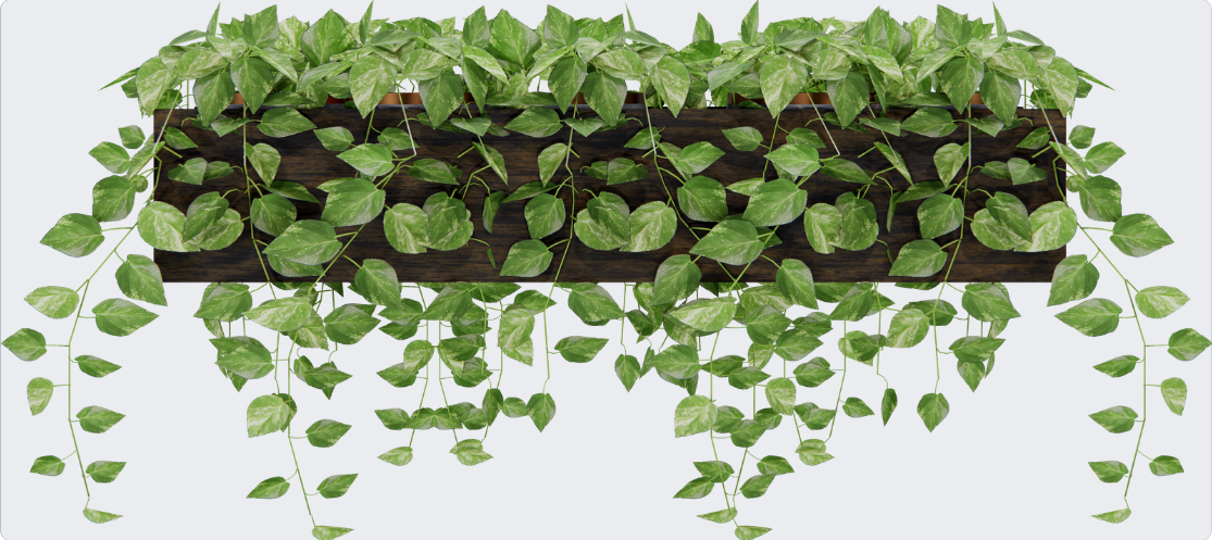 Инновационные горшки для растений 2024 Инновационные горшки для растений 2024