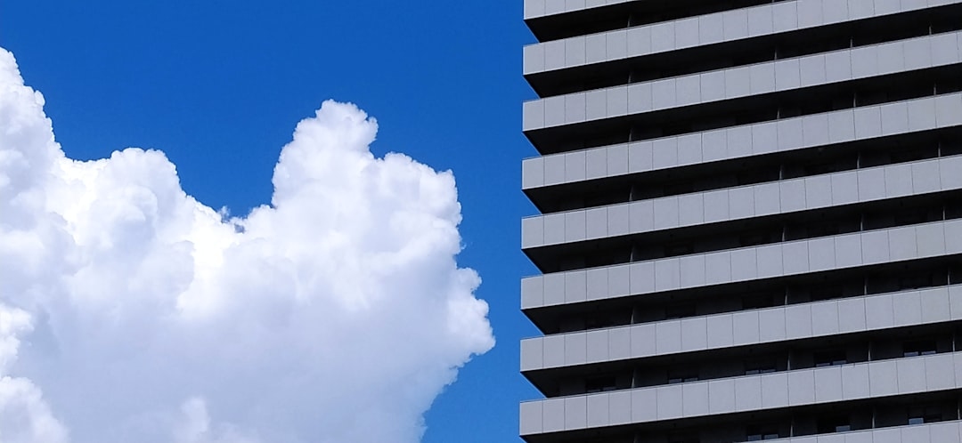 Чем отличаются облачные и локальные решения для управления бизнесом